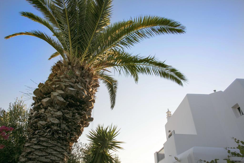 Anna-Maria Mykonos Hotel Glastros  Exteriér fotografie